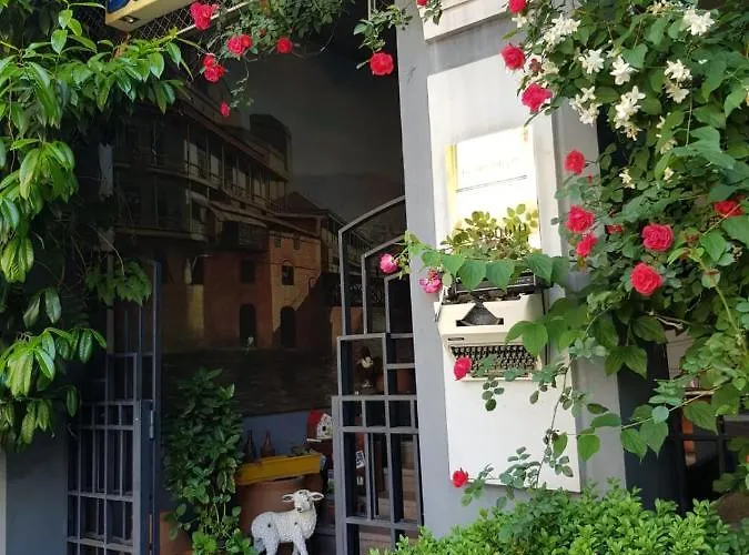 David Hotel - Ethno Style